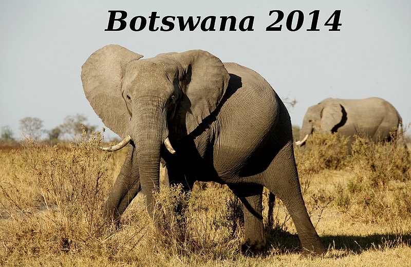 Südafrika/Botswana 2012